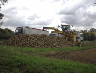 The Mechanised Sugar-Beet Harvest Oct 25